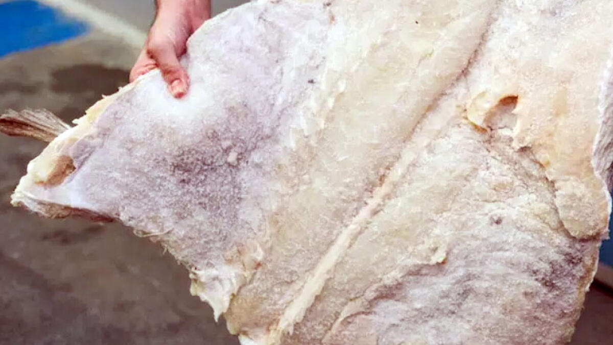 A Somma Vesuviana torna la grande festa del baccalà - 