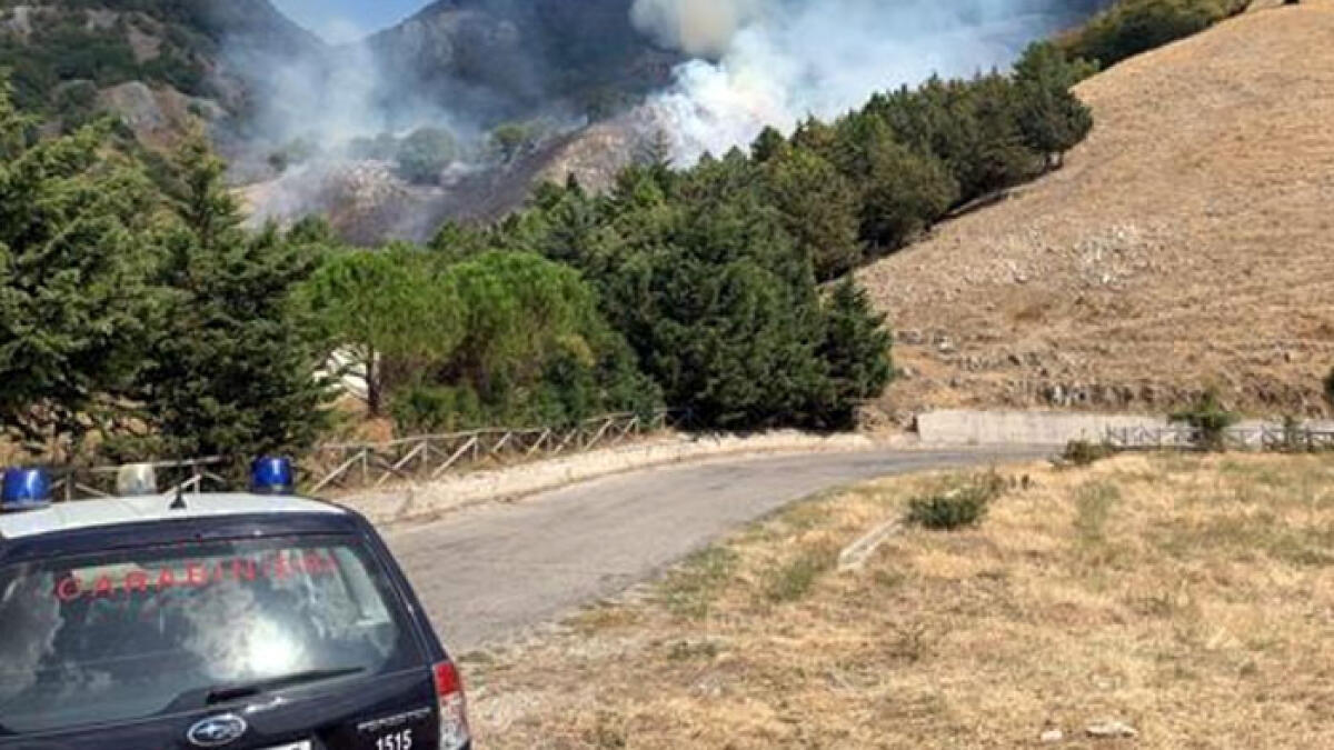 Incendi, arrestato un 26enne - 