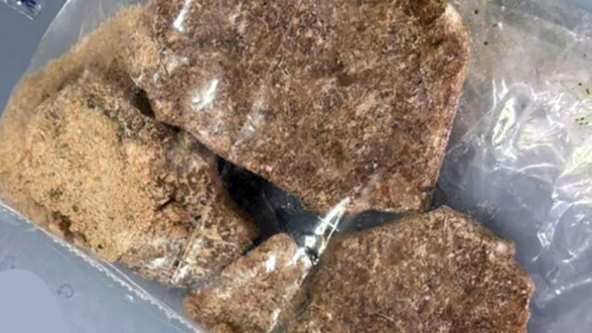 "Sono sali da bagno". Ma in borsa aveva un chilo di Mdma - 