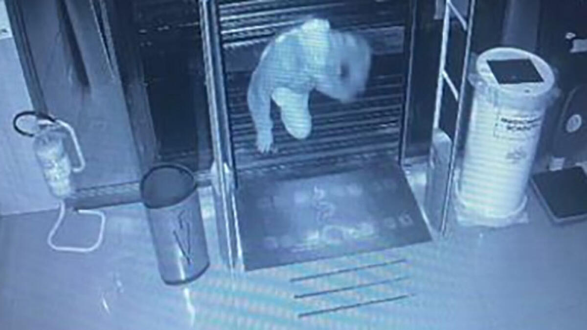 San Giuseppe Vesuviano, nebbiogeno salva farmacia dal furto - 