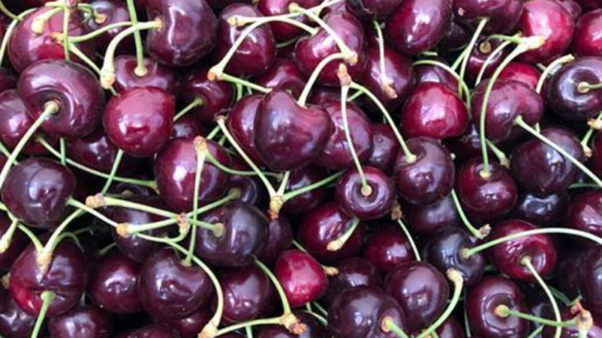 Altro successo per la Campania, la ciliegia è Igp - 
