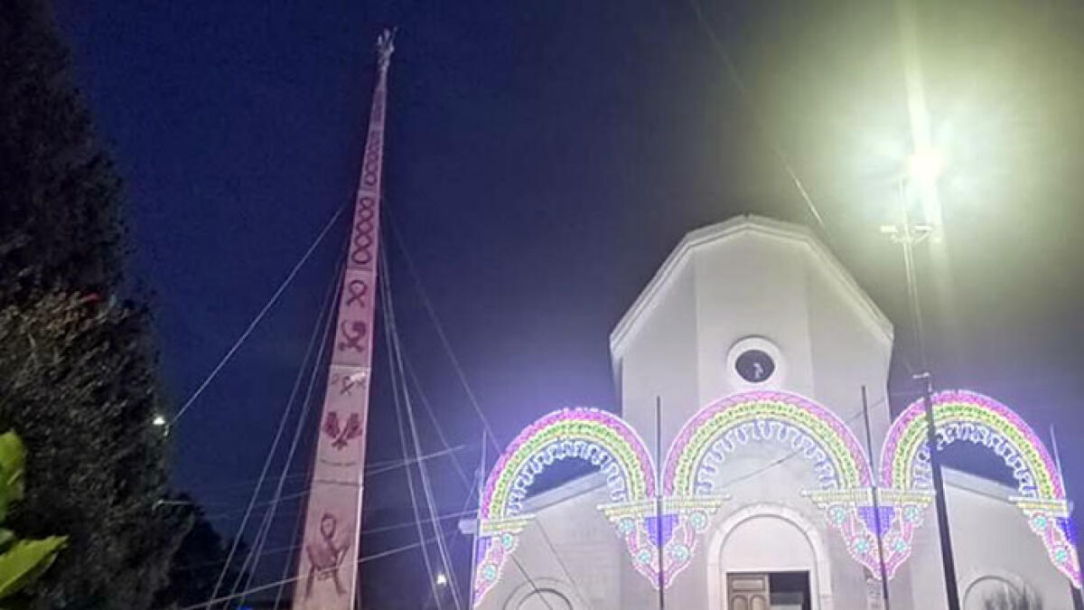 Giglio di Nola rosa contro il cancro - 