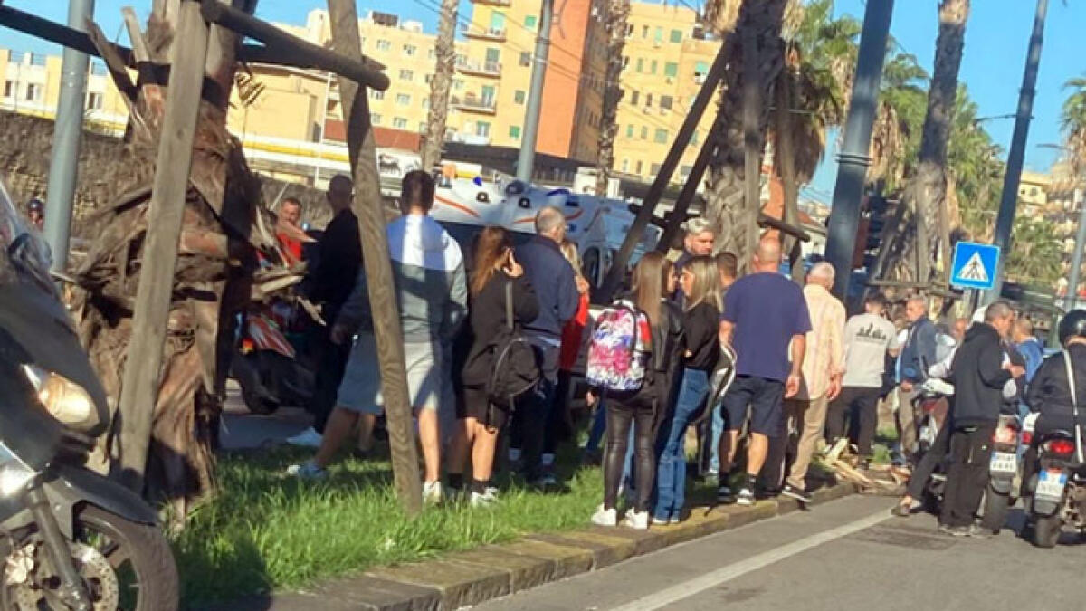 Accompagna i figli a scuola e viene investita in corsia preferenziale: morta giovane mamma - 