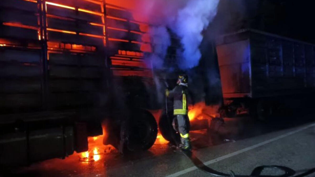Brucia camion carico di polli - 