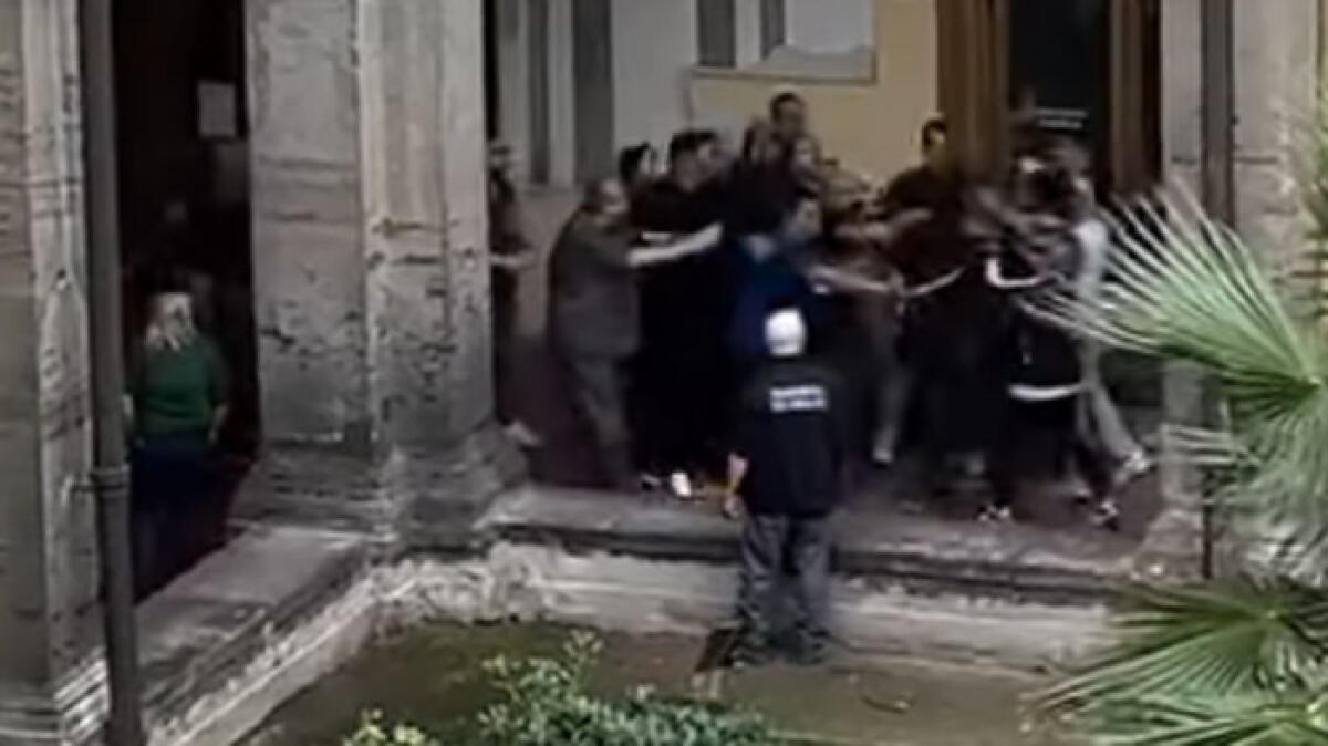 Muore il cane, in 4 assaltano e feriscono i veterinari del Policlinico GUARDA IL VIDEO - 