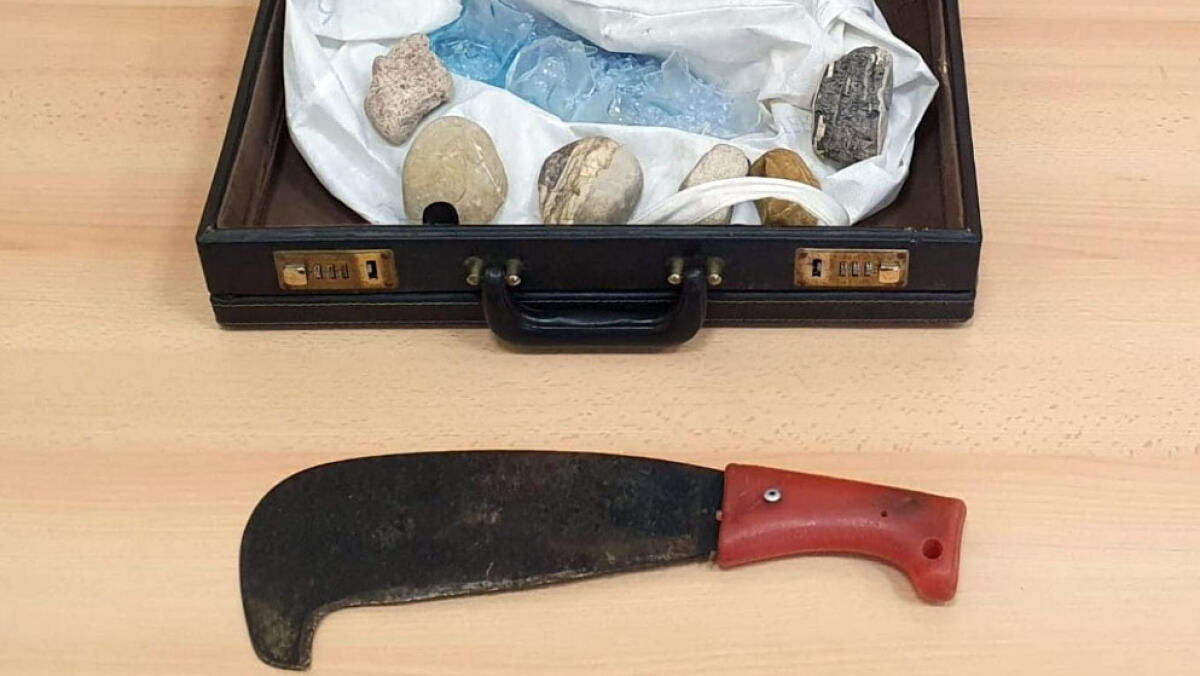 Viaggia sul treno con roncola, pietre e cocci di vetro - 