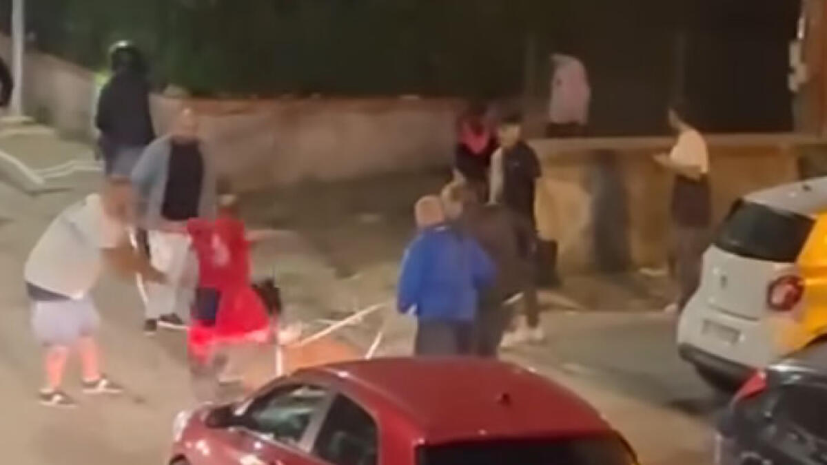 Pitbull sbrana cagnolino: momenti di terrore nel Vesuviano - 