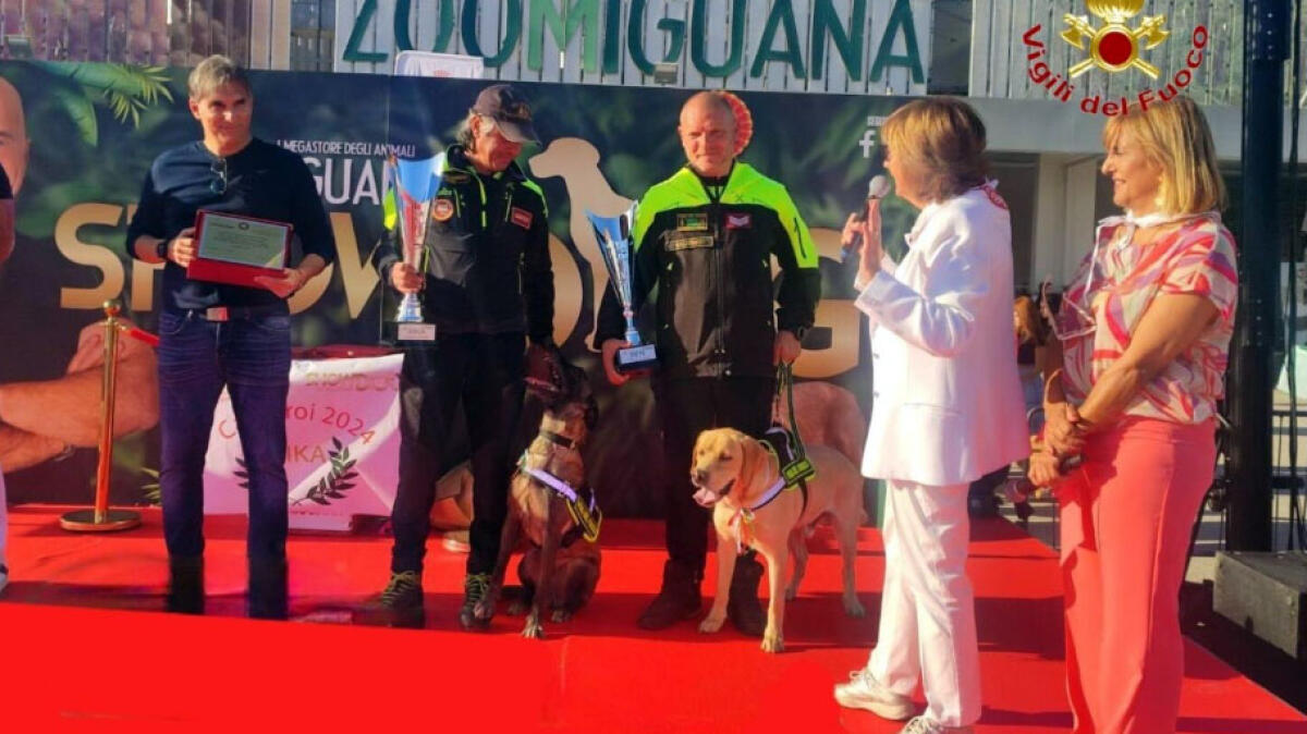 Premiato Ben, il cane che ha salvato padre e figlio a Saviano - 
