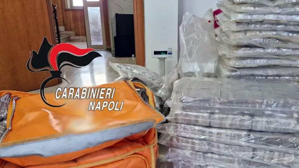 Finti rider trasportano 190 chili di droga nella borsa del delivery - 