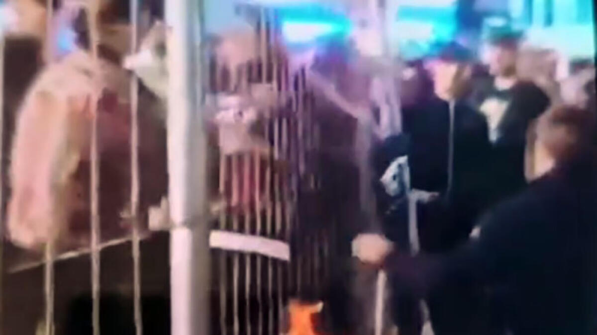 Riempito di botte in villetta, tutti filmano ma nessuno interviene IL VIDEO - 