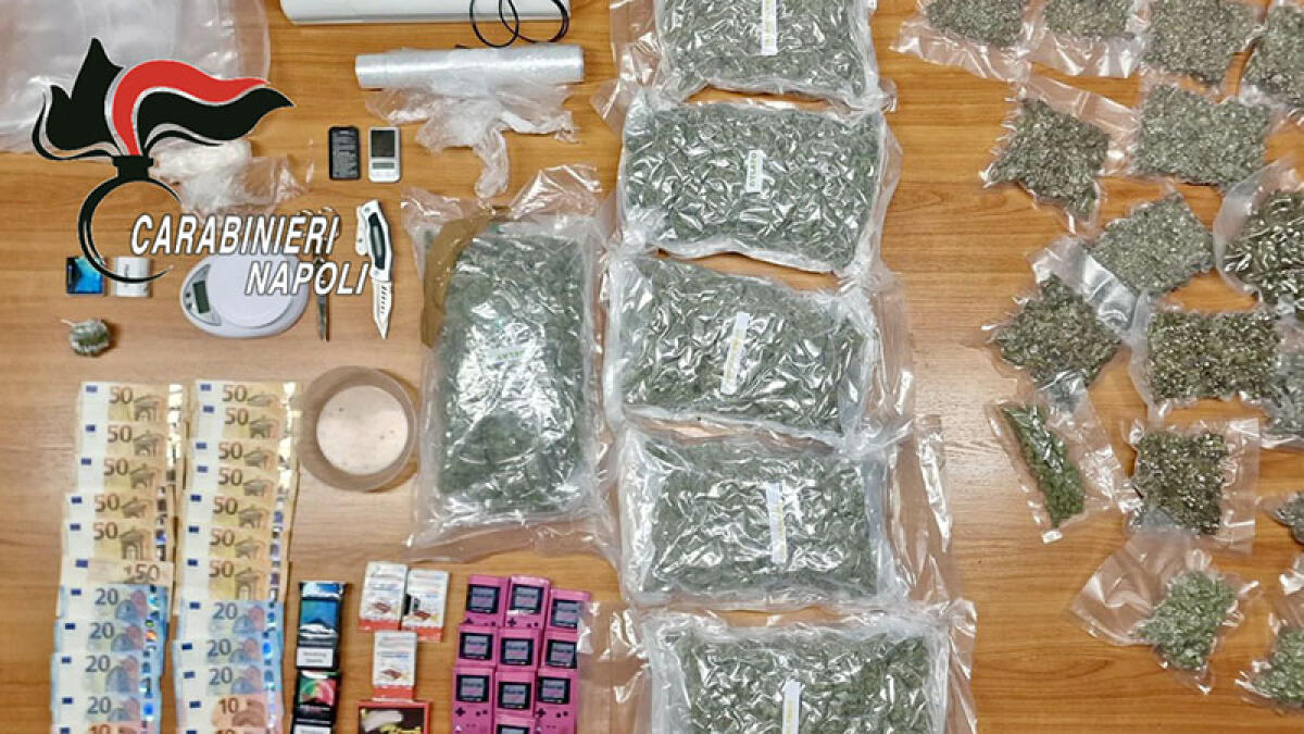 Blitz antidroga nell'area boschese: arrestati madre, figlio e genero - 