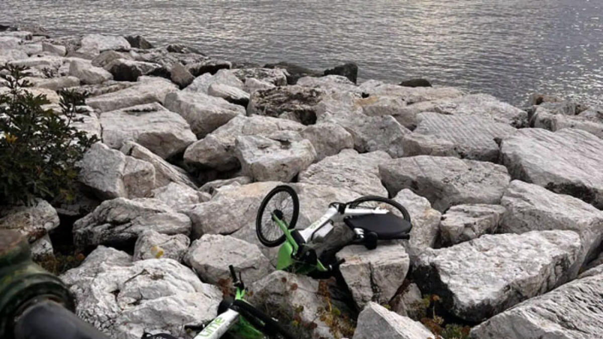 Bici elettriche a noleggio gettate sugli scogli - 