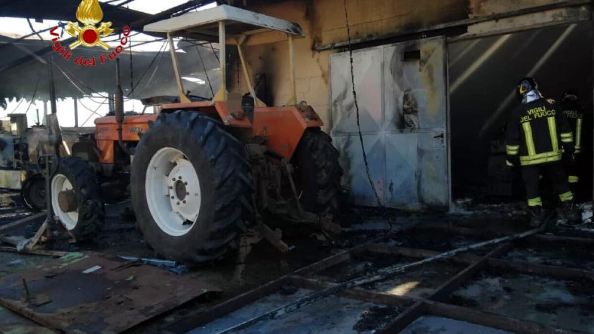 Rogo nell'azienda agricola, tutto distrutto - 