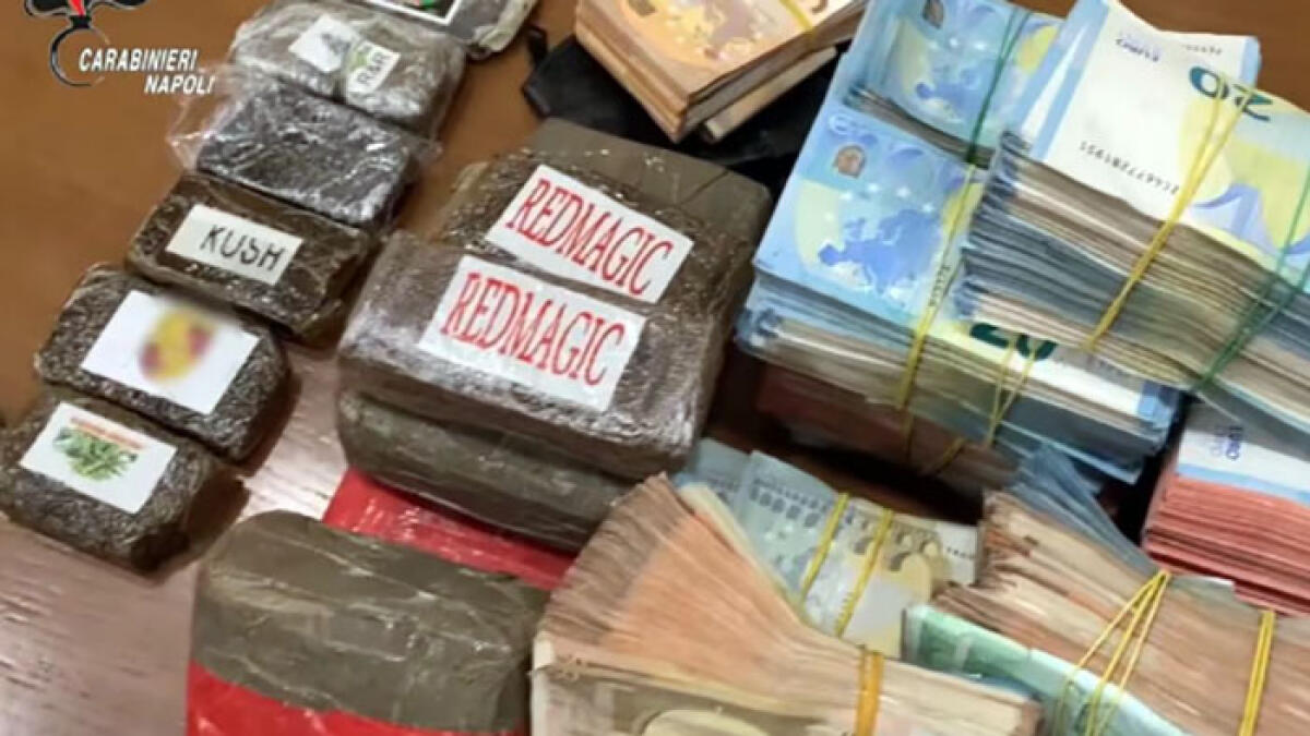 I Narcos e l'uso della chat Matrix per non essere intercettati - 