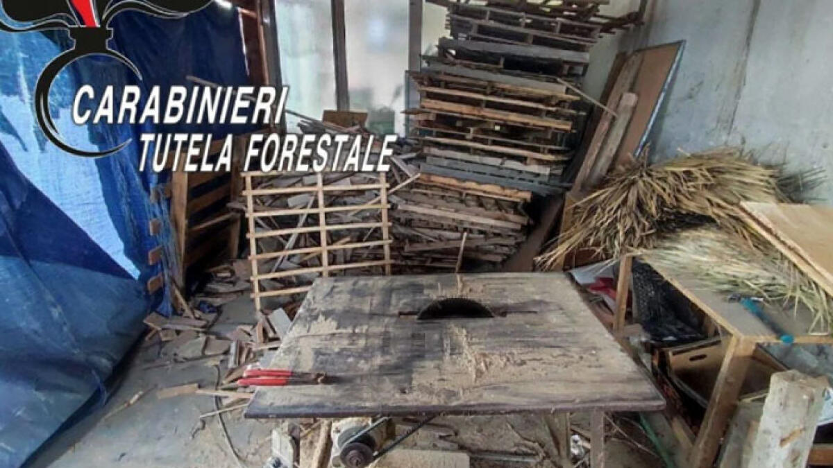 Rifiuti bruciati per cuocere il pane - 