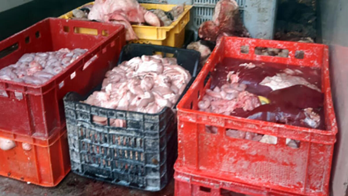 I Nas sequestrano 3 tonnellate di carne a Striano - 