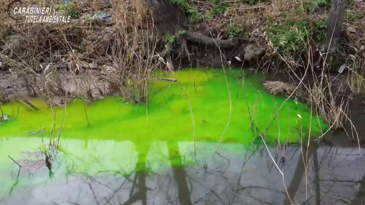 Grave inquinamento del Fiume Sarno, sequestrata azienda "bio" a Striano IL VIDEO - 