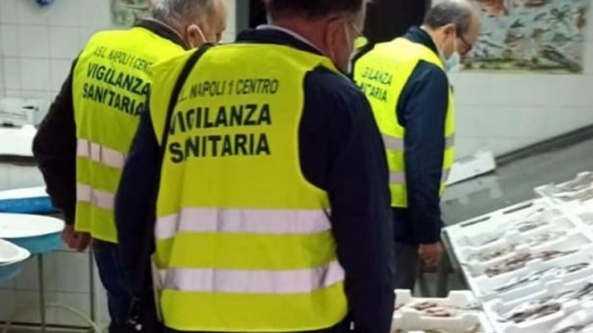 A tavola in sicurezza, scatta nuovo maxi-sequestro di alimenti - 