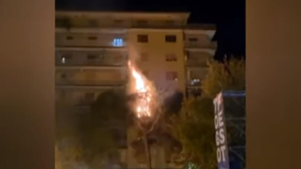 Botti sparati tra la folla, albero va in fiamme - 