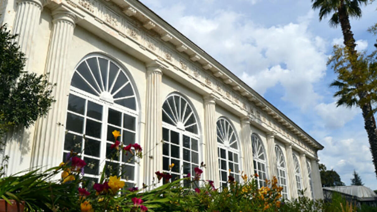 Rubato l'albero di Natale dall'orto botanico - 