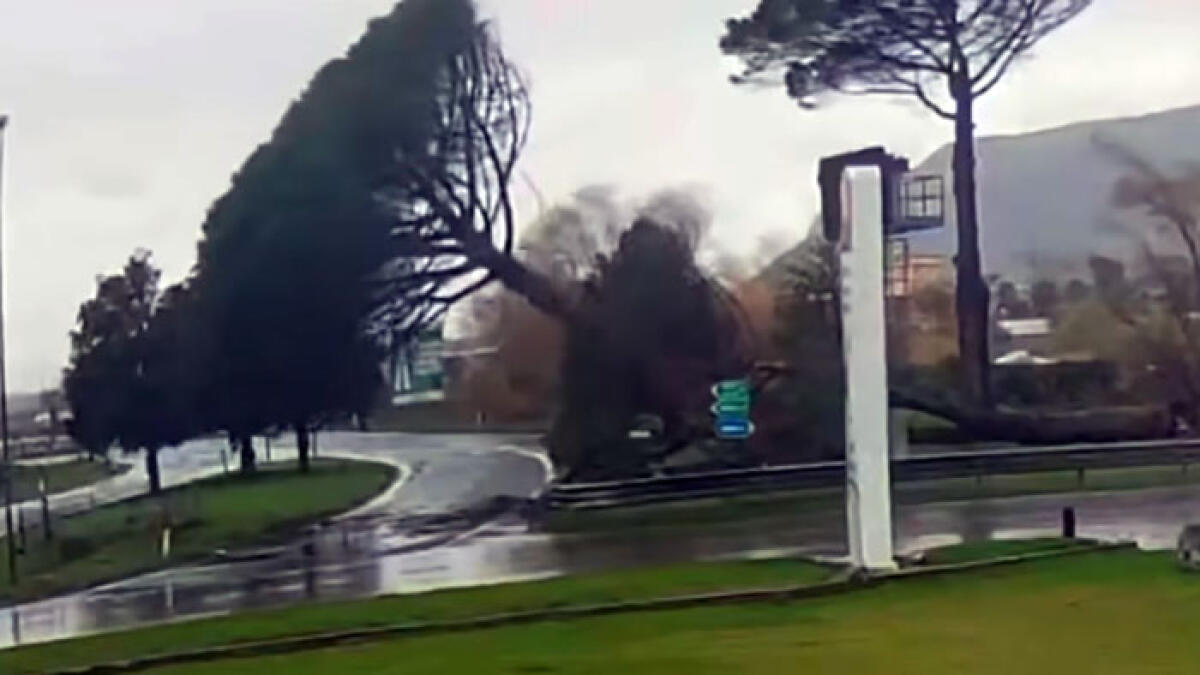 Sarno, cadono alberi all'ingresso dell'A30 e sulla guardia medica - 