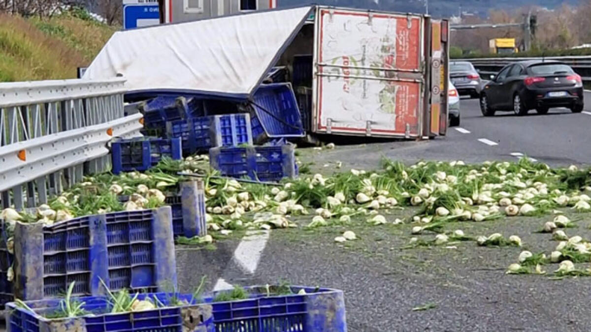 Il camion si ribalta in autostrada e perde il carico di finocchi - 