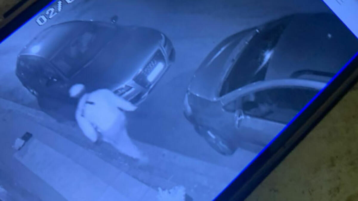 Rubano nella casa con i proprietari all'interno - 