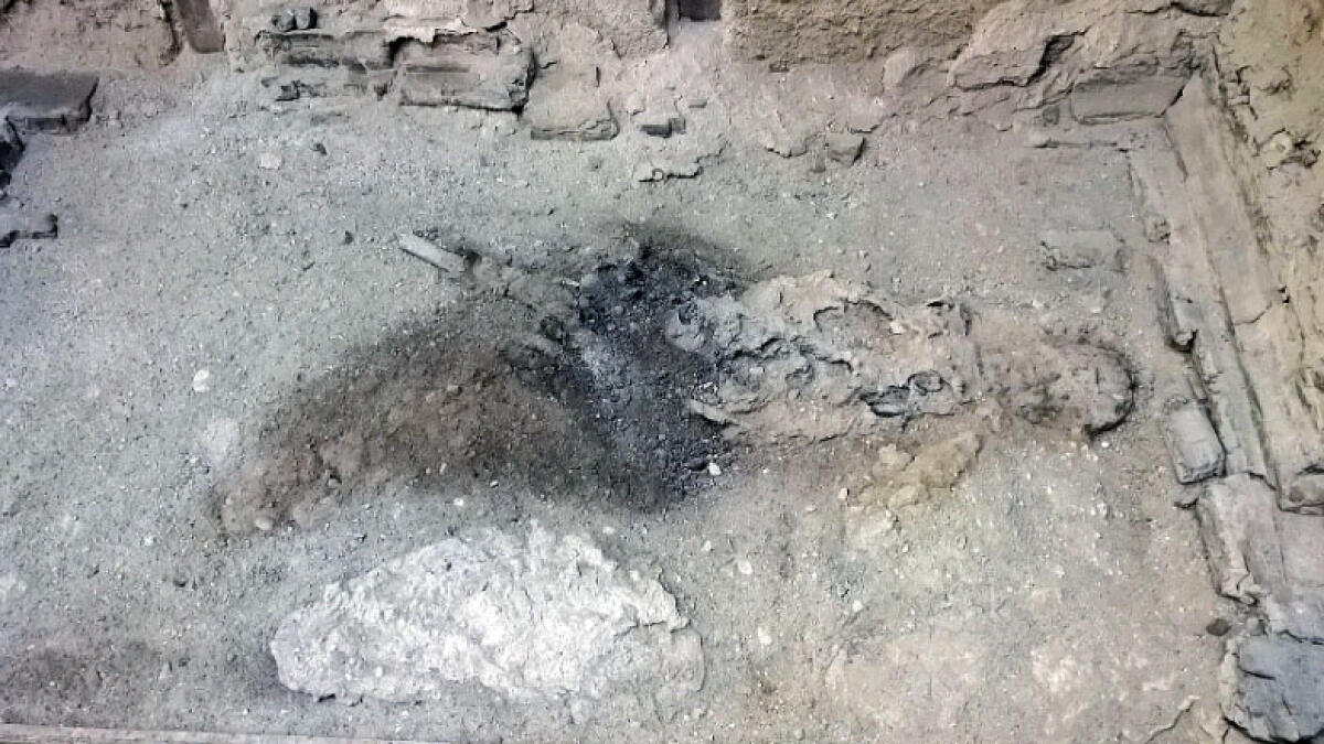 Scavi di Ercolano, cervello umano diventato di vetro - 