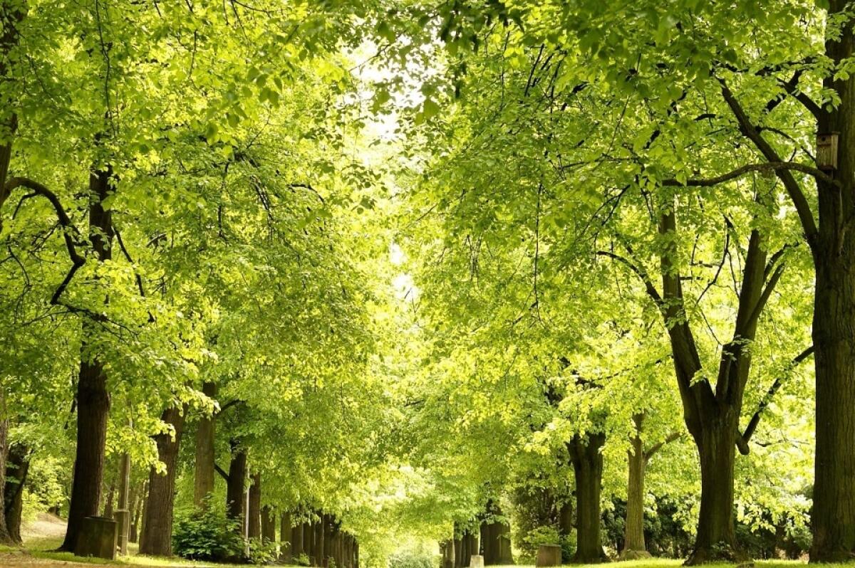 M'illumino di meno arriva in Europa - 