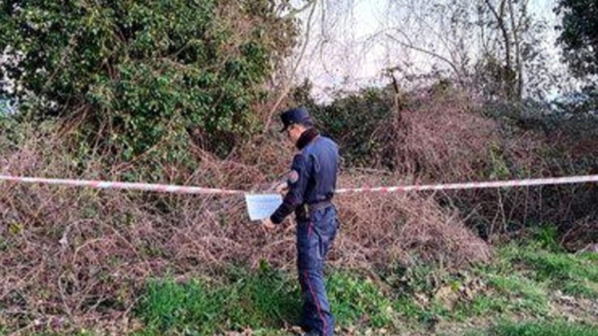 Scoperta fossa comune di bufale con 22 carcasse - 