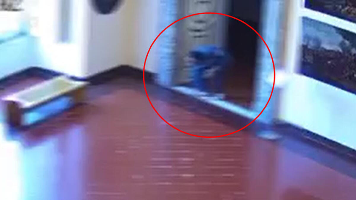 Rubò piastrella dalla Reggia, trovato il corpo carbonizzato - 