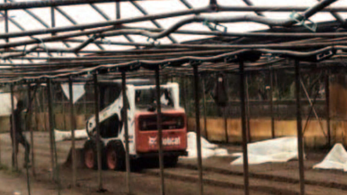 Camorra vesuviana, i parenti del boss occupano il terreno e continuano a lavorarci - 