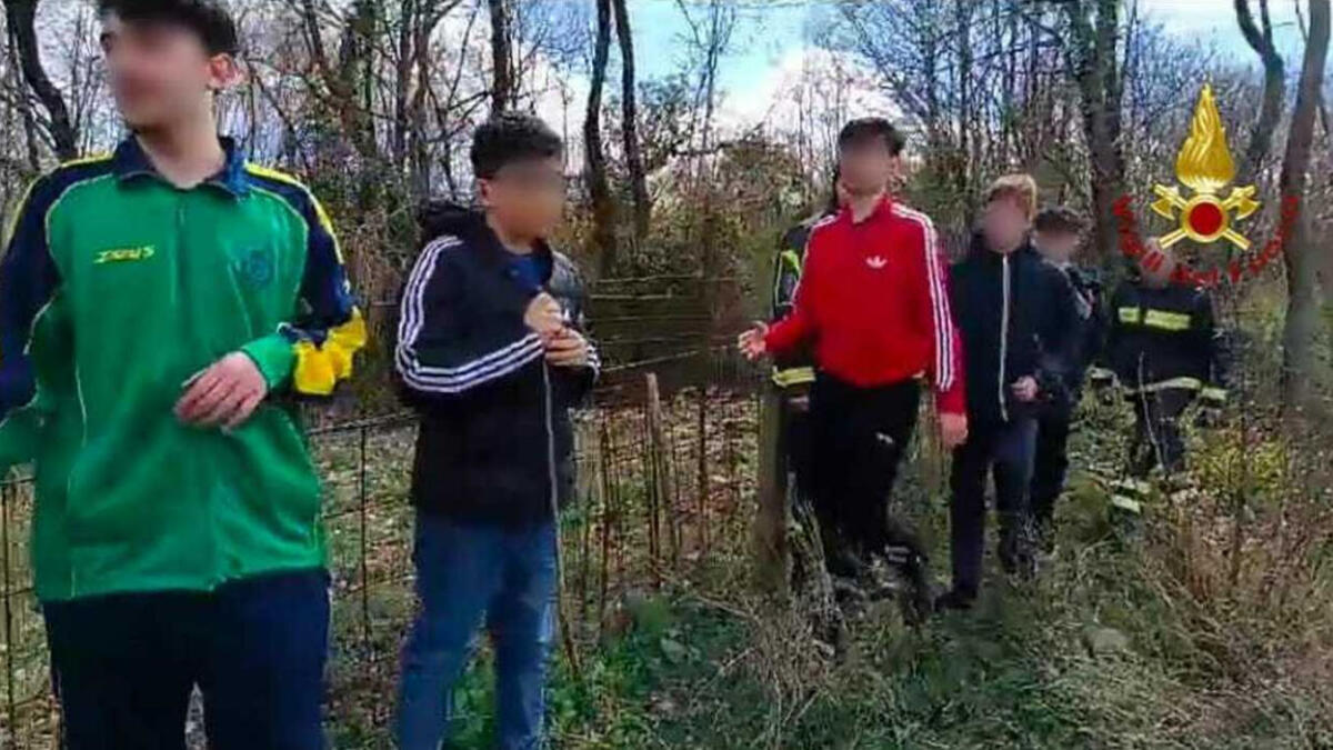 Cinque ragazzini inseguiti da un branco di cinghiali - 