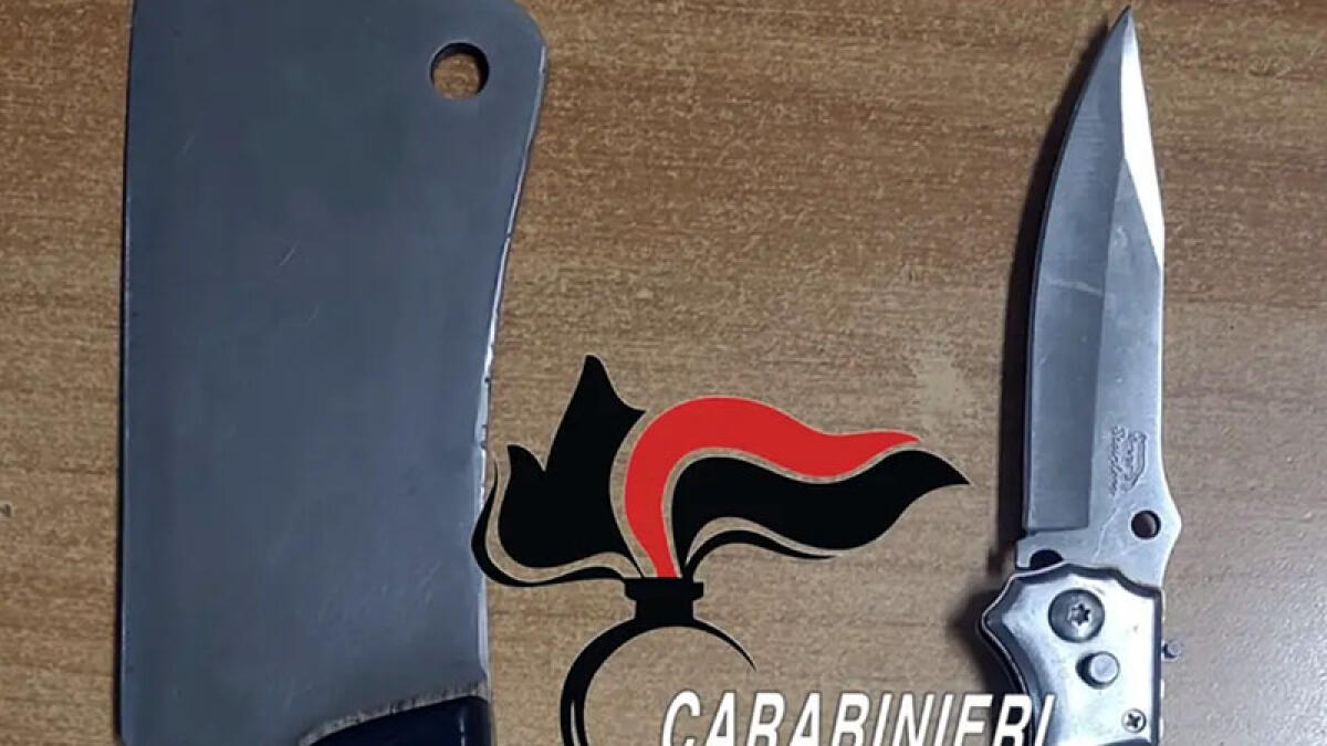 Affronta i poliziotti e li aggredisce con una mannaia - 