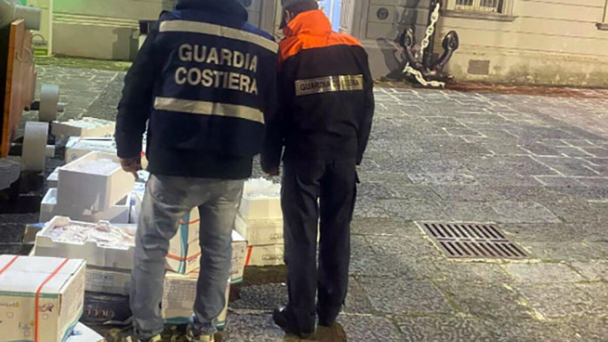 Pesce in cattivo stato di conservazione, maxi-sequestro a Boscoreale - 