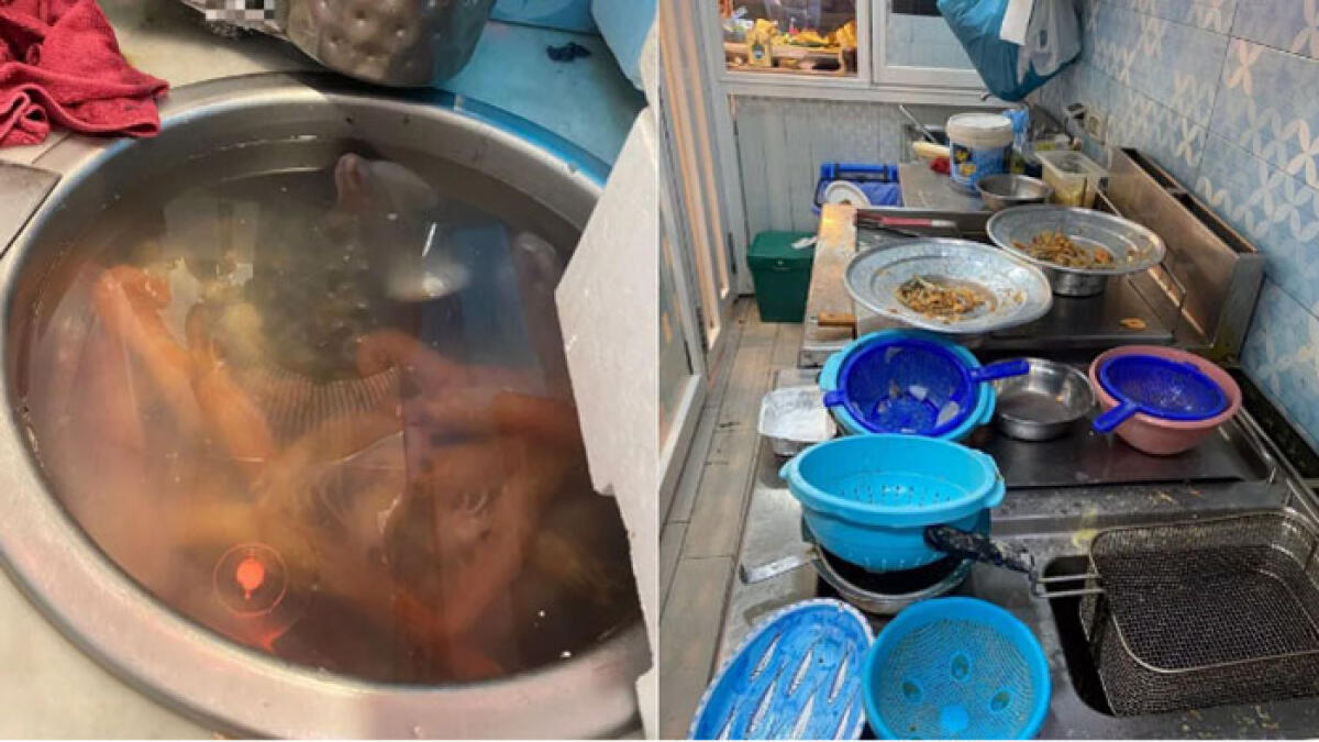 Alimenti accanto ai rifiuti e cucine sporche: sigilli ai locali - 