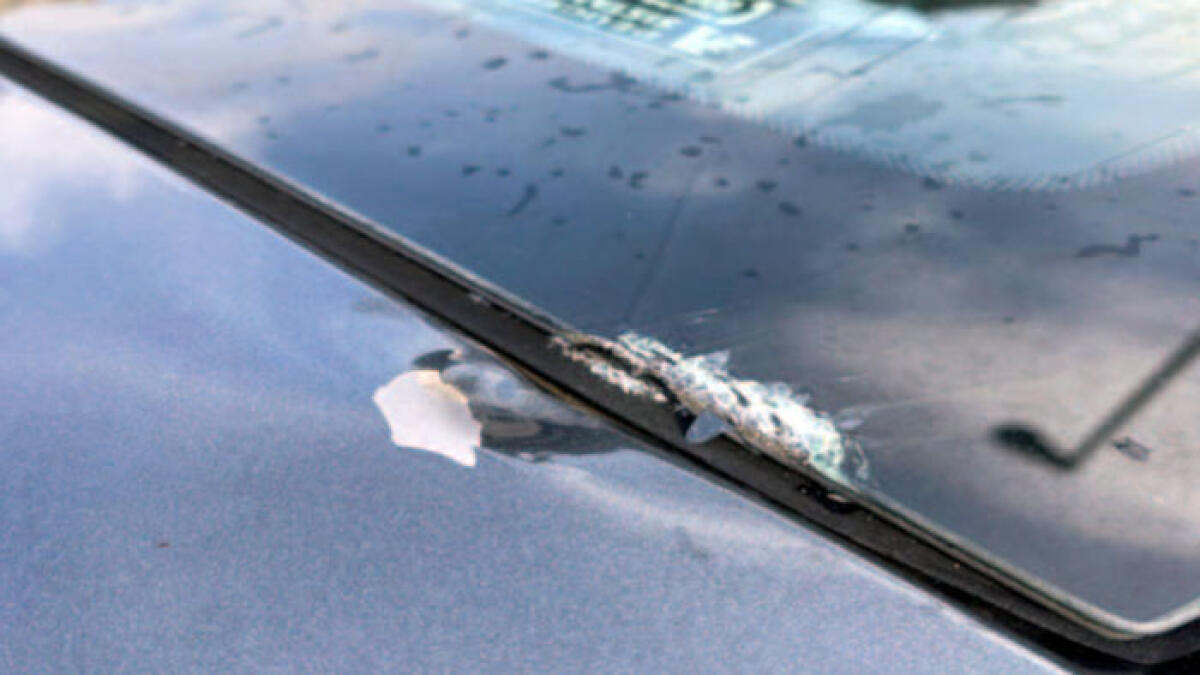 Sassaiola contro le auto in marcia: "Giocano con la morte" - 