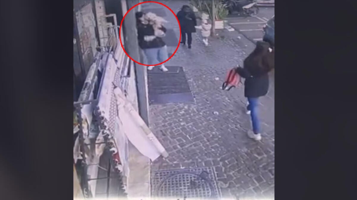 Ragazza ruba un piccolo cane maltese, il furto ripreso in un video - 