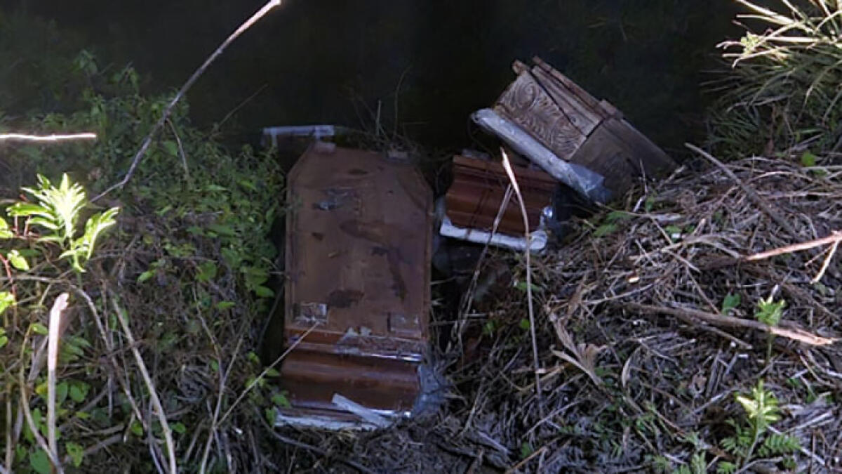 Bare abbandonate tra la vegetazione - 