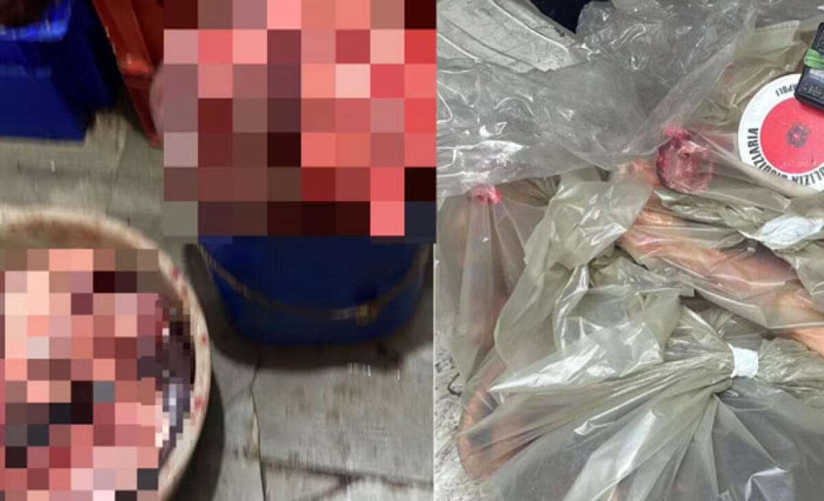 Carne avariata nei locali sporchi - 