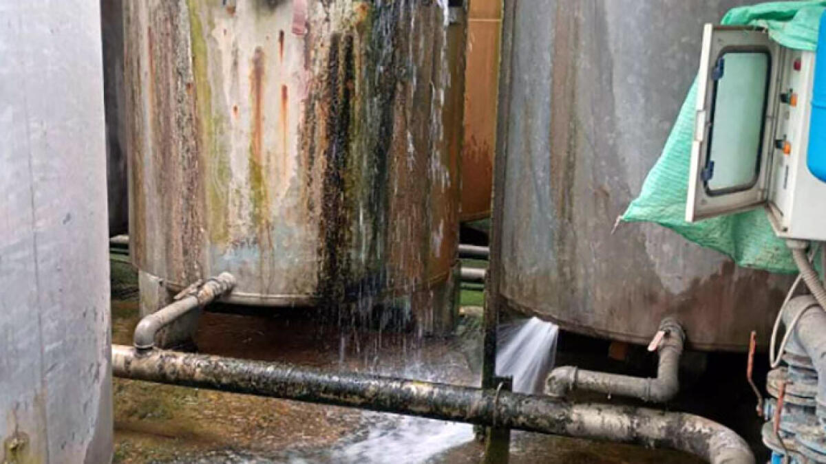 Lavanderia in gravi condizioni igieniche: serviva anche gli ospedali - 