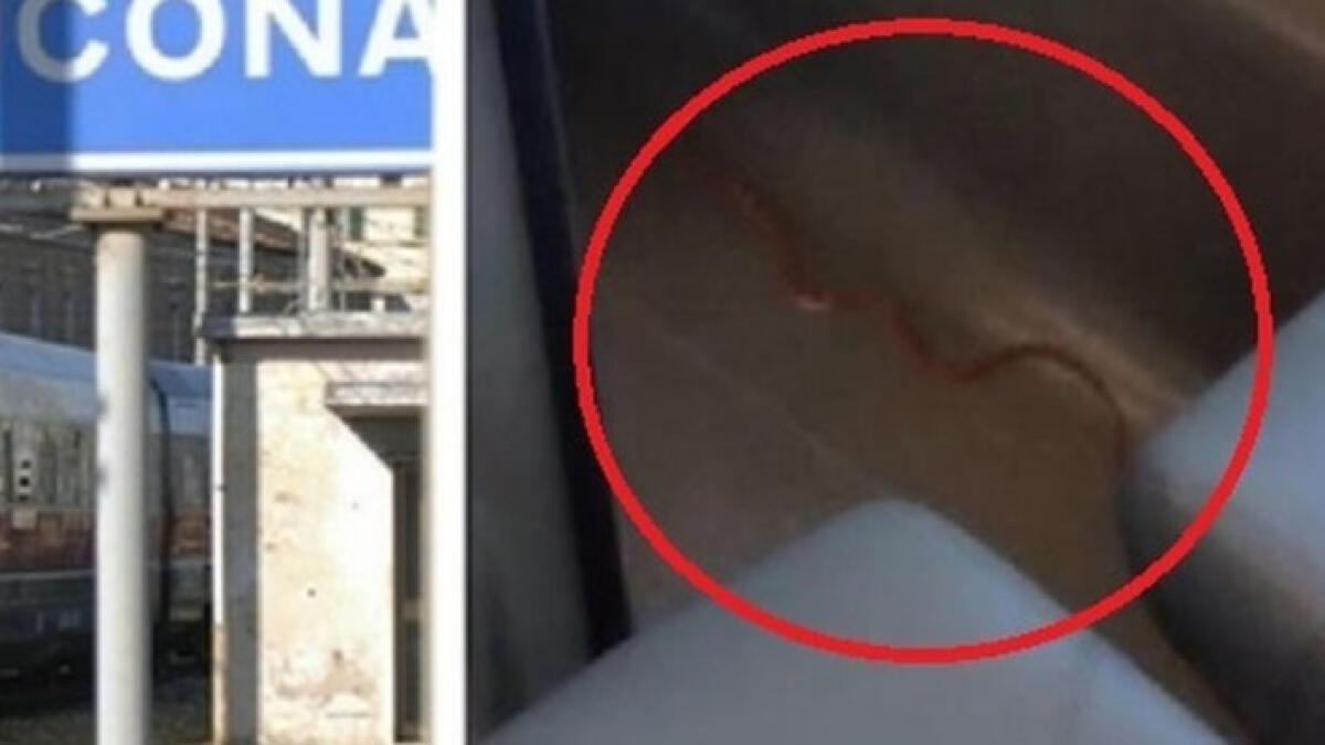 Sul Frecciarossa spunta un serpente - 