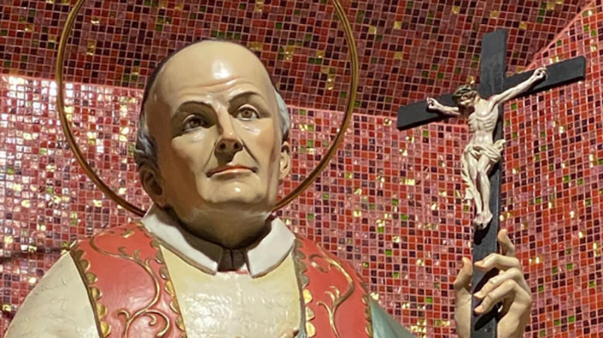 Torre vuole San Vincenzo patrono secondario - 