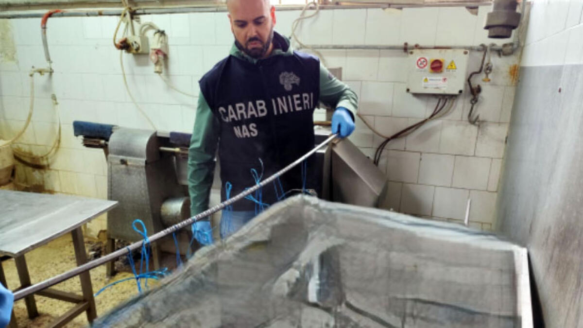 I Nas sequestrano 12 quintali di carne contaminata - 