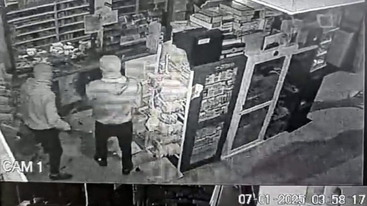 Si intrufolano di notte nell'attività commerciale, arrestati - 