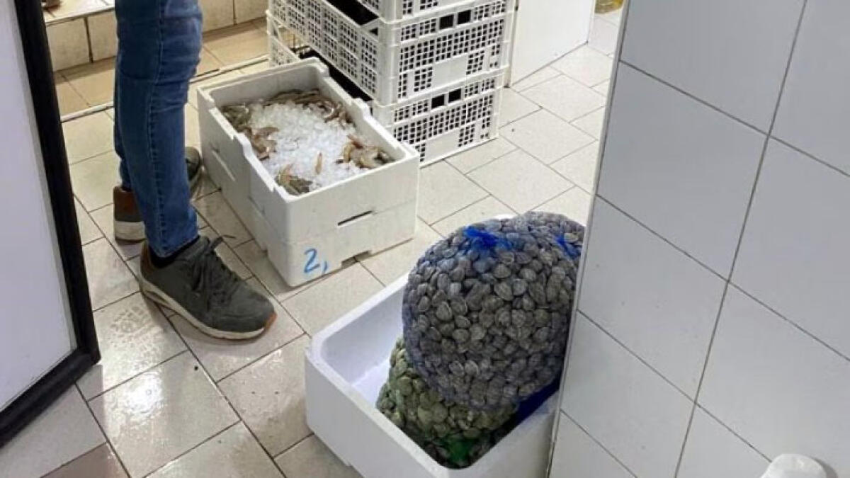 Poggiomarino, sequestrati oltre due quintali di pesce - 