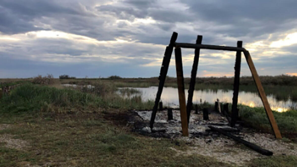 Fiamme all'Oasi Wwf Variconi - 