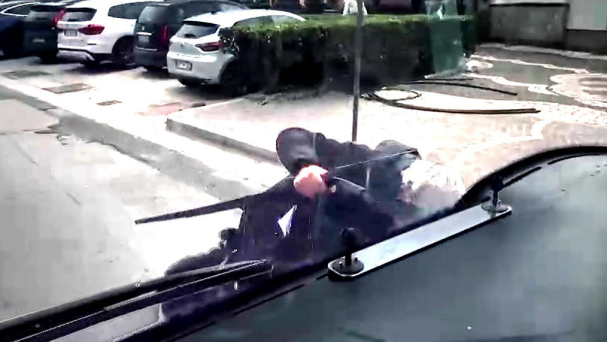 Vuole salire sul bus con il cane senza museruola, al "no" strappa il tergicristallo - 