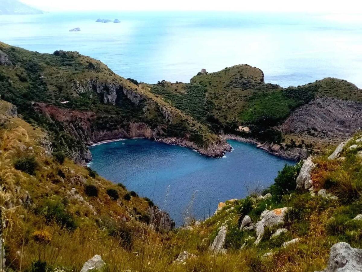 Viva i Lattari, al via il progetto che promuove il territorio - 