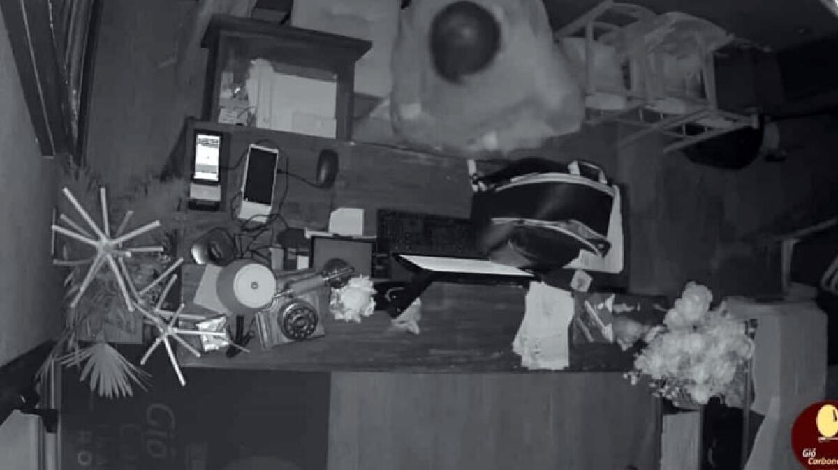 Furto nel ristorante, i titolari pubblicano il video - 